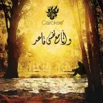 تاية